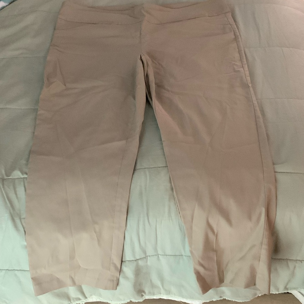 Tribal Women's Cropped Tan Jeans